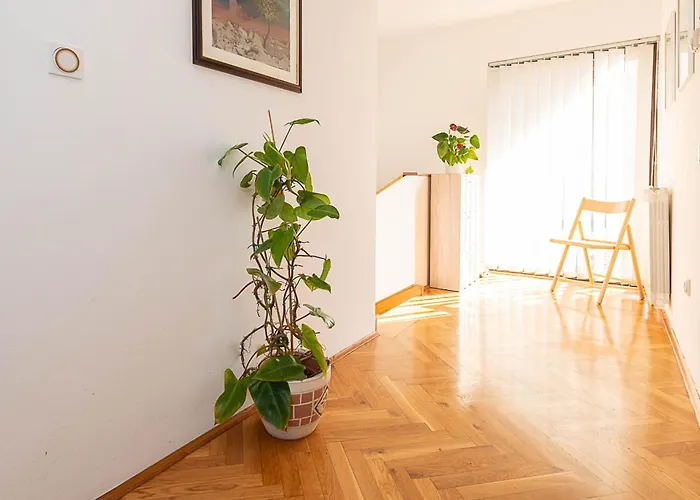 Apartment D&v *