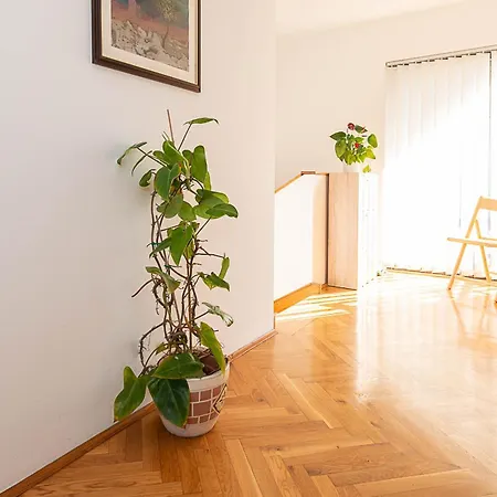 Apartment D&v *